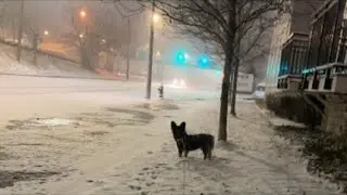 Snow at night