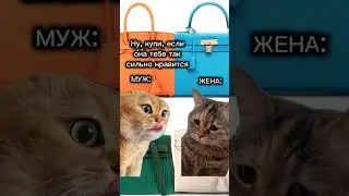 муж и жена !!!!🙈🙊 #laugh #humor #family #laughing