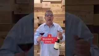 What is Stepan Tasting Today? Episode 16- Louis Jadot 2017 Cote de Beaune Villages MyWinePlus.com