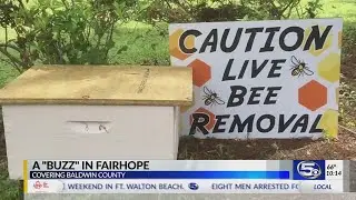 VIDEO: Woman finds sign saying 
