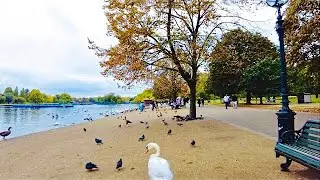 Amazing view of Hyde Park london || bird’s water and trees || best view in 4k