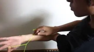 Werrd Best Banger Trick Video Contest - Masaya Kawai