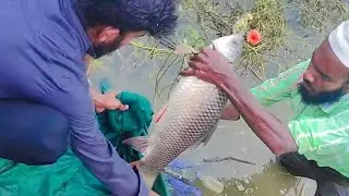 Big Fishing Hunting &Catching //Hook Fishing // Float FIshing video // Techniques