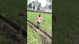 Water pump pipeline work in progress #vlog #vlogger #minivlog #waterpump
