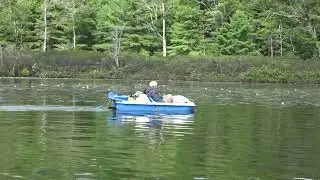 Paddle Boating  on Morrison Lake Gravenhurst