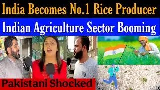Pak Public Shocked by Indian Agriculture Sector | India becomes no.1 Rice Producer in the World 
