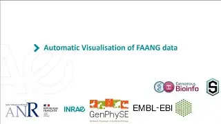 nf-core/animal-genomics: Guillaume Devailly, Cervin Guyomar and Sandrine Lagarrigue (INRAE, France)