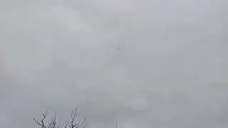 Голуби Славека Ловича 💪😀🤚. Привет, и я прошу у вас здоровья. Как видите, у меня всё хорошо. С наи...