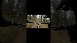 MTB Downhill Pro POV | Fast Forest Descent