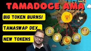 TAMADOGE BIG TOKEN BURNS, TAMASWAP DEX & 5 NEW TOKENS