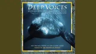 Deep Voices