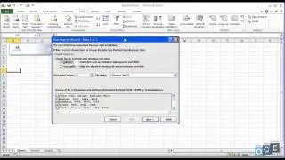 UVOZ tekstualnih podataka (Excel 2010)