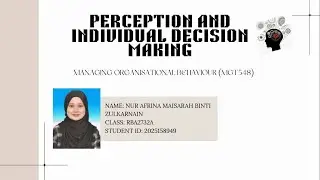 MGT548 Individual Reflective Video: Perception and Individual Decision Making