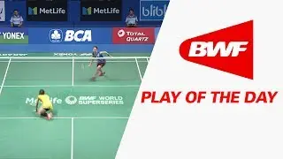 Play Of The Day | Badminton QF - BCA Indonesia Open 2017