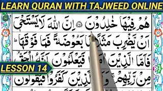 Online Quran Learning | How To Read Quran | Quran Reading With Tajweed | Surah Bqarah Lesson 14