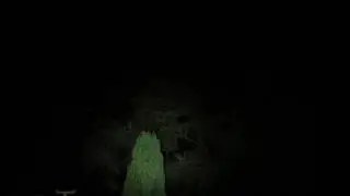 strobe2
