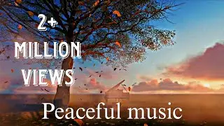 😌copyright free🎵Focus Music for Work and Studying #backgroundmusic #studymusic #relexsong #melody