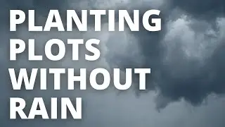 How I Plant Food Plots Without Rain