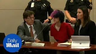 Colorado shooting suspect Devon Erickson appears in court