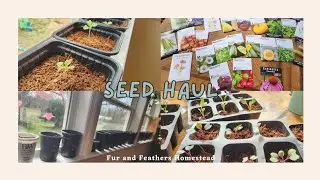 Seed Haul | Gardening Season Is Almost Here | Seed Starting | Let's Talk Gardening