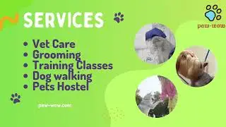 Coming soon India's first comprehensive pet care app paw-wow 