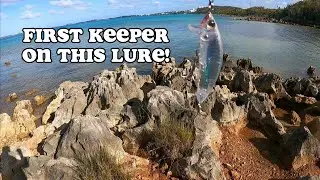 casting the yozuri surface minnow | LURE FISHING BERMUDA
