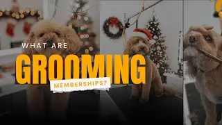 FIRST EVER GROOMING MEMBERSHIP THAT INCLUDES YOUR GROOMING SESSIONS - DO YOU WANT TO BECOME A MEMBER