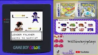Part 4 Taking on the Violet City Gym
