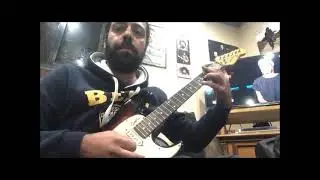 Foxy lady-Wael Malaeb