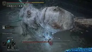 Elden Ring Shadow of the Erdtree DLC - Golden Hippopotamus - Boss Fight & Location