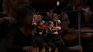 R. Schumann &ndash; Symphony No. 4 | NZSO ft. Andr&eacute; de Ridder #Schumann #Symphony4 #NZSO