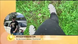 Allt om myggf&aring;ngar-VM i &Ouml;vertorne&aring; - Nyhetsmorgon (TV4)