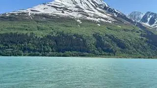 Primrose Hike on Kenai Lake
