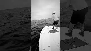 Fly Albie action on long island sound
