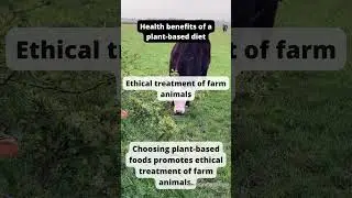 The Georgeus Benefits of a Plant-Based Diet: Ethical Treatment of Farm Animals