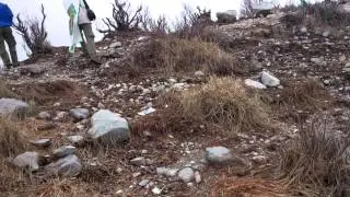 Puncak Sindoro