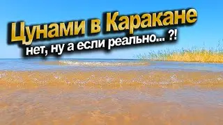 Super Soco TC MAX Пляжный день | в Каракане | Опять грибы | Банный четверг