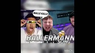 PARTYSAU - MalleKalle @Danergy @Niklas-Wilson