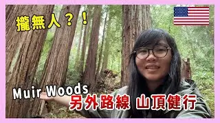 🌲Muir Woods紅木森林｜山上無人路線健行【Vlog #42】
