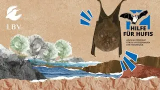 Faszination Flederm&auml;use - Die Gro&szlig;e Hufeisennase