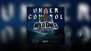 Under Control vs. Wild Ones (Alesso Mashup)