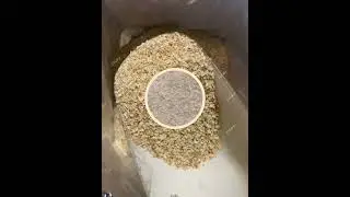 Bulk High Quality Dried Garlic Granules  For Sale #driedgarlic