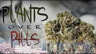Plants over Pills Veterans Rally DC