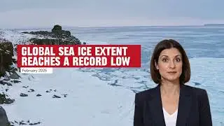 Global Climate & Disaster Update 2025 &mdash; AI Avatar Reports