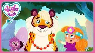 Meet Vida The Vets Best Friends! (Compilation) | Vida the Vet | Cartoons for Kids