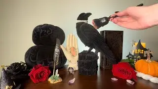 ASMR Spa Treatment for Beatrice the Bird with Rain Sounds 