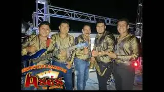 Los Ases de Noyola - Fiesta (punta)/El Papalote