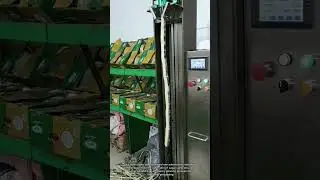Cane Skinning Process | Efficient Machine Operation