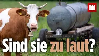 Irrer Streit um Kuhglocken-L&auml;rm &ndash; mit skurrilem Gerichtsurteil |&nbsp;Holzkirchen, Bayern