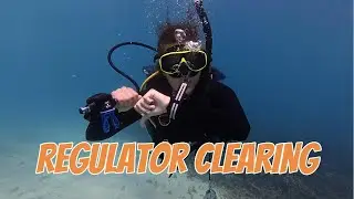 Mastering Regulator Clearing &ndash; Safe and Effective Techniques